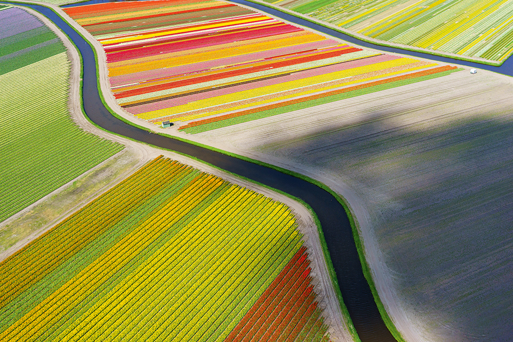 Anders_Andersson-coloured-fields-and-river.jpg