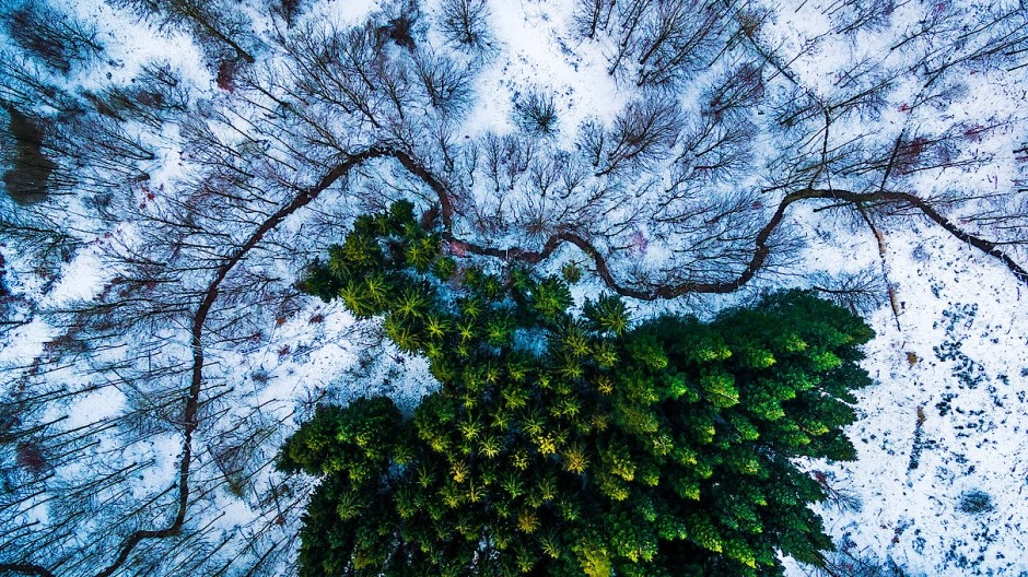 das-schoenste-naturfoto.jpg