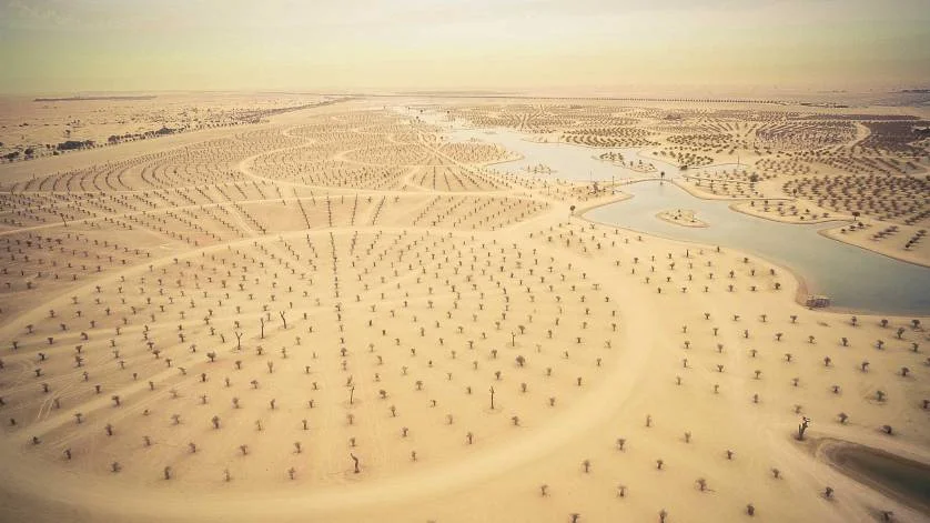 dubai-uae-by-desouzad.jpg