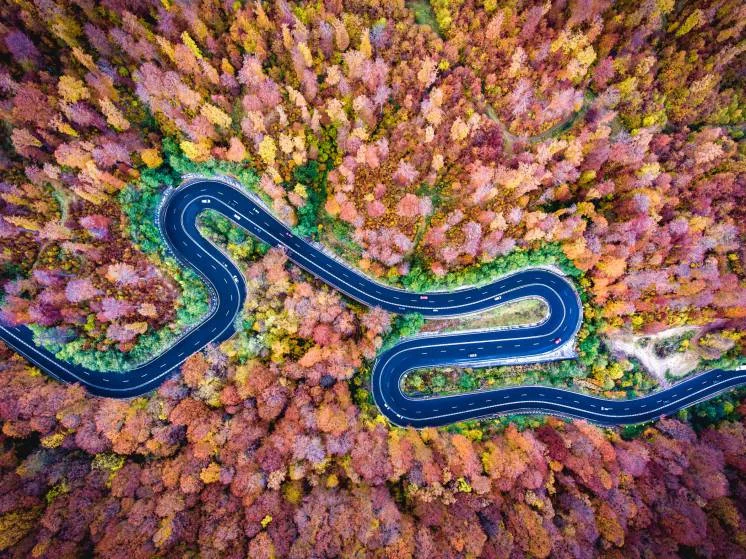bogata-forest-romania-by-deepbluero.jpg