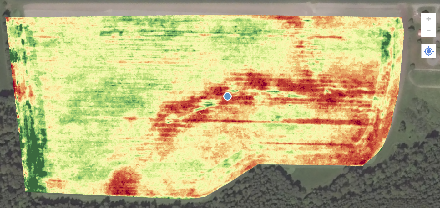 Drone image showing variations in establishment