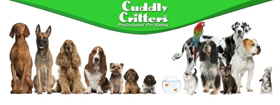 Quality Service Always Wins | Cuddly Critters Pet Sitting | Corinne Smith 