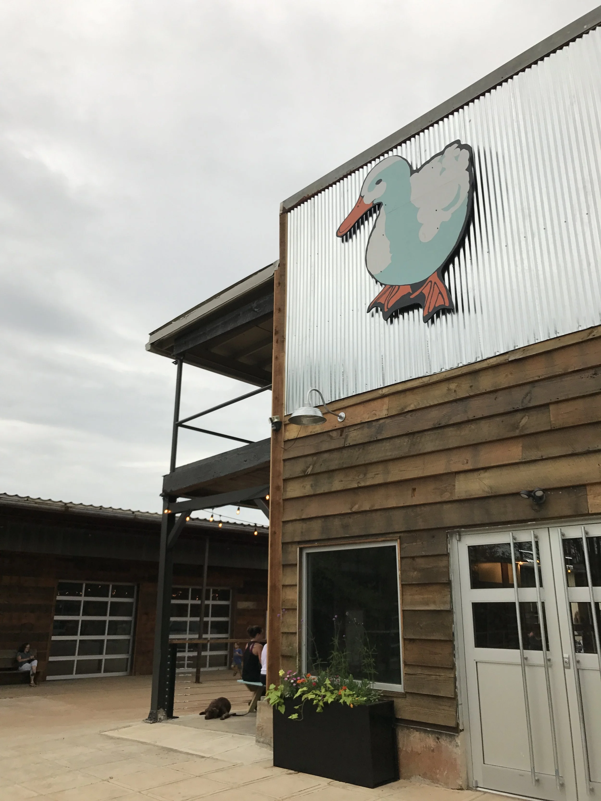 White Duck Taco Shop | Grand Opening! | From Asheville to Greenville 