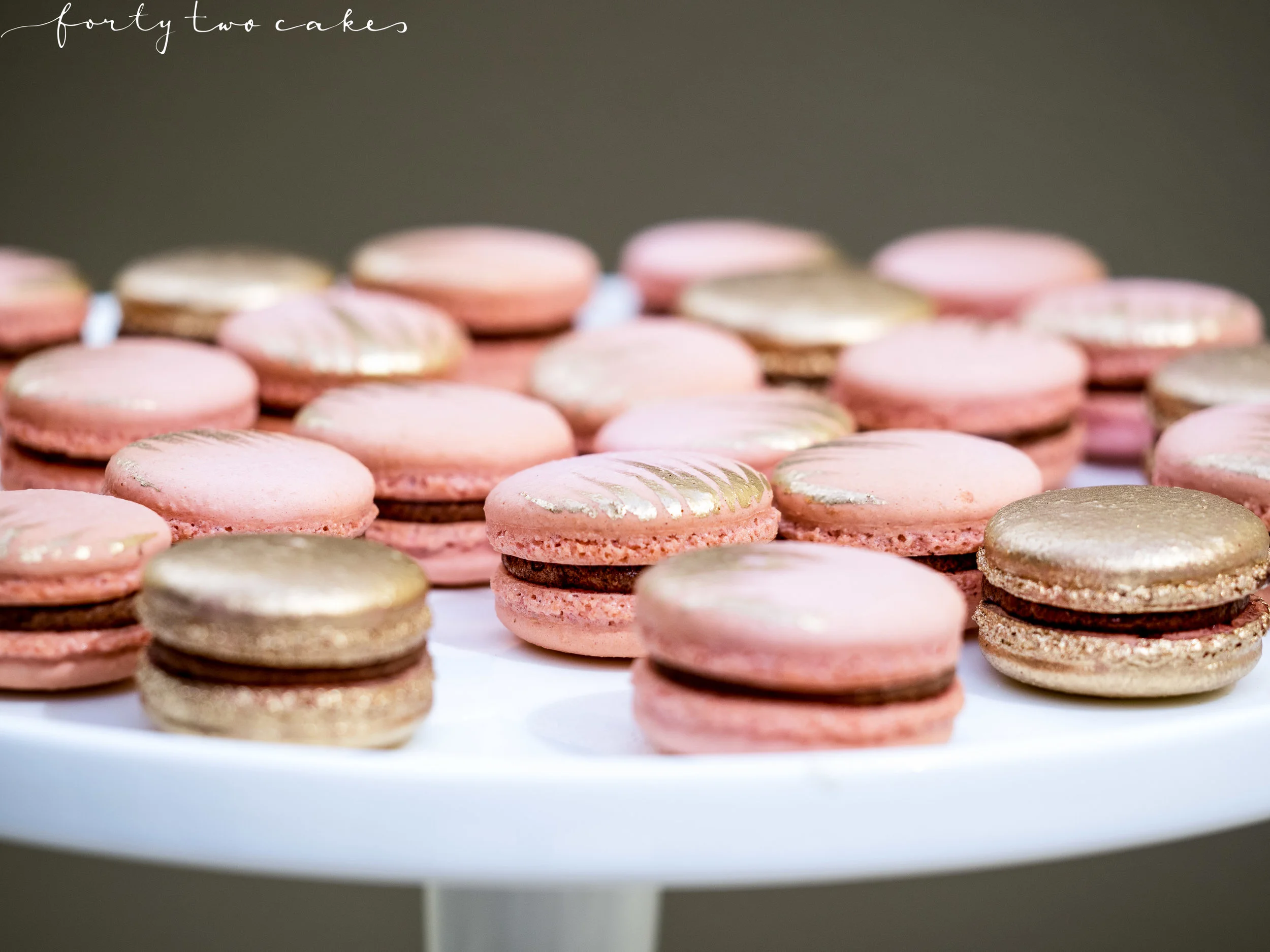 Forty-Two Cakes - Front Page-04.jpg