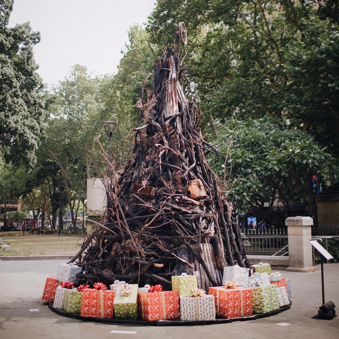 James_dive_burnt_tree.jpg