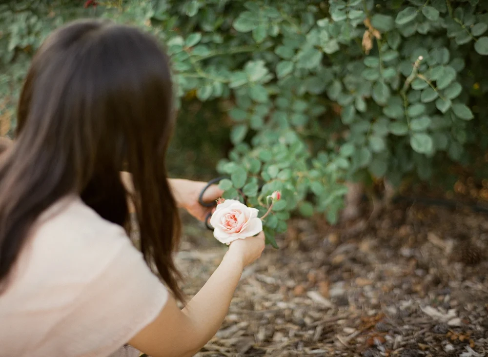 11Emblem Flowers Foraged Floral Crown.jpg