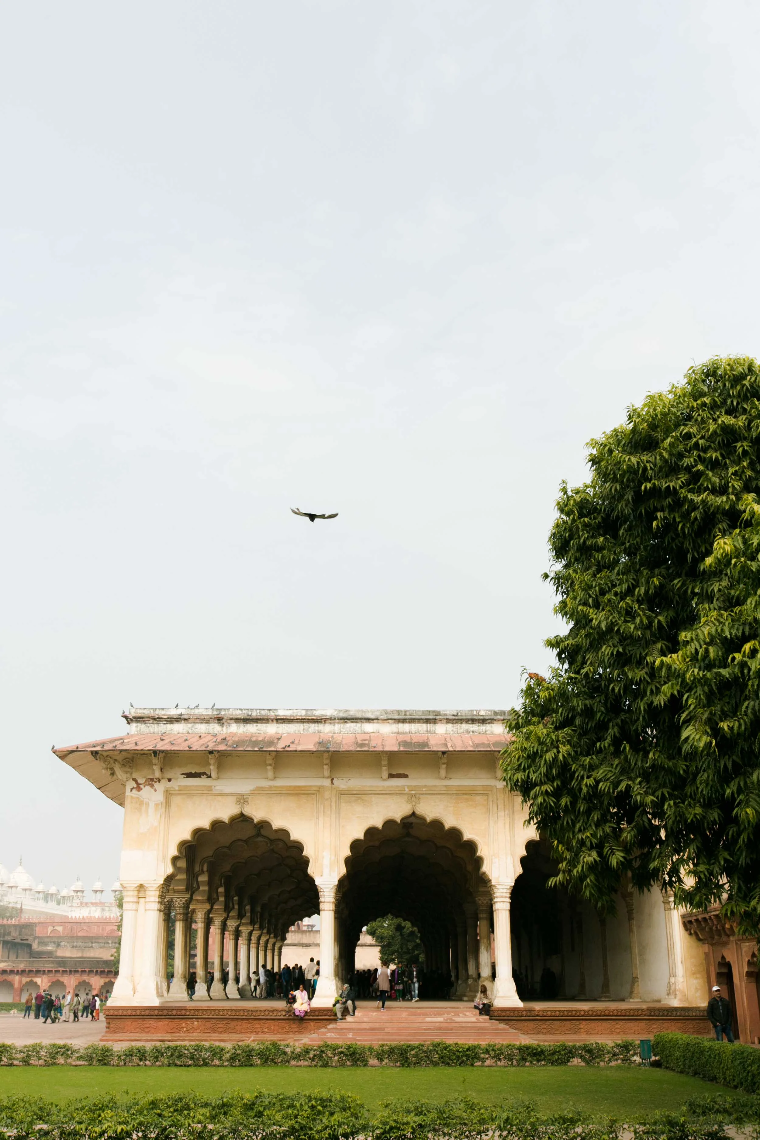 24Taj Majal India Photography.jpg