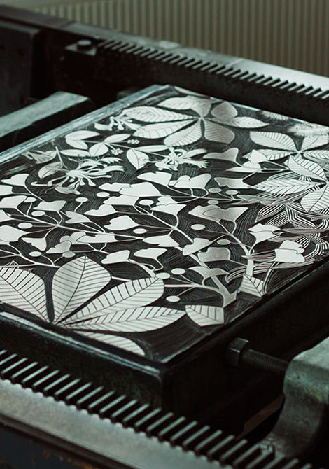 "Chestnut" on the press.