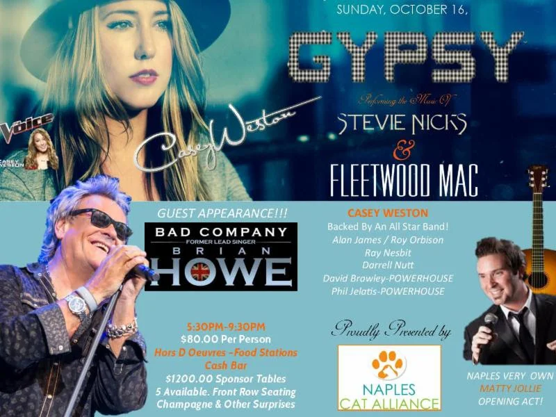 Gypsy - Performing the music of Stevie Nicks & Fleetwood Mac