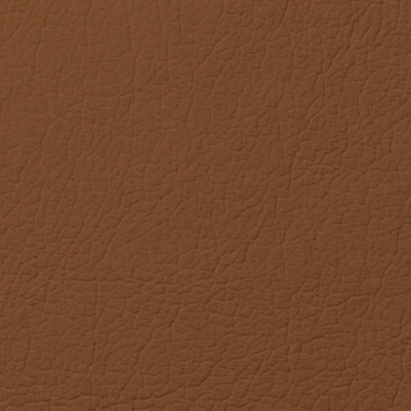 Leather_300940006