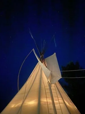 Allies for Stillness