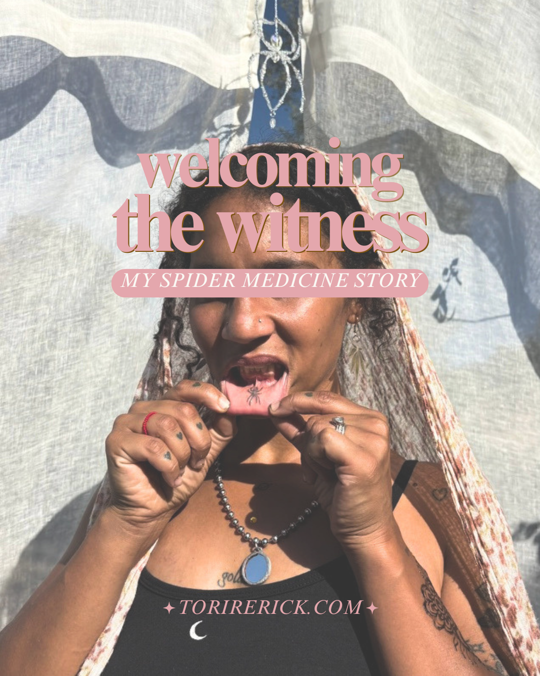 Welcoming the Witness: My Spider Medicine Story
