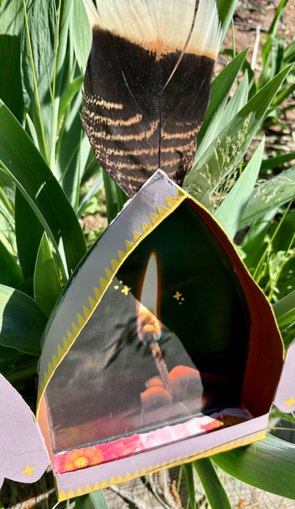 Turkey Tail Feather Art