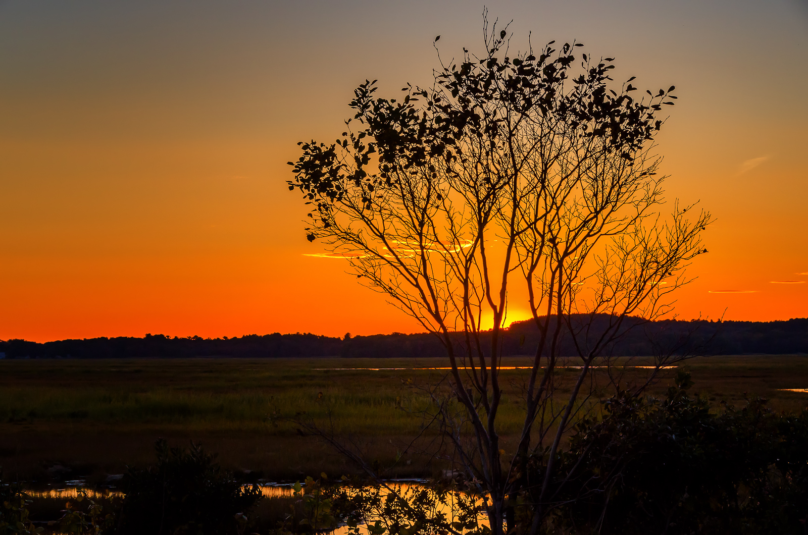 Sunset, Plum Island, MA