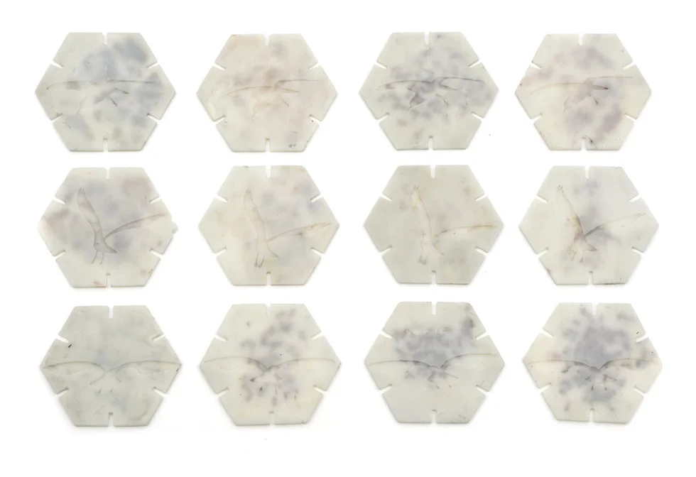 450 years guaranteed is made from recycled HDPE plastic milk bottles melted and moulded into hexagonal units that connect together, offering an infinite number of pattern possibilities. Inspired by amber and its longevity, each unit has organic matter preserved inside and is intended as a future fossil carrying information on to future generations.