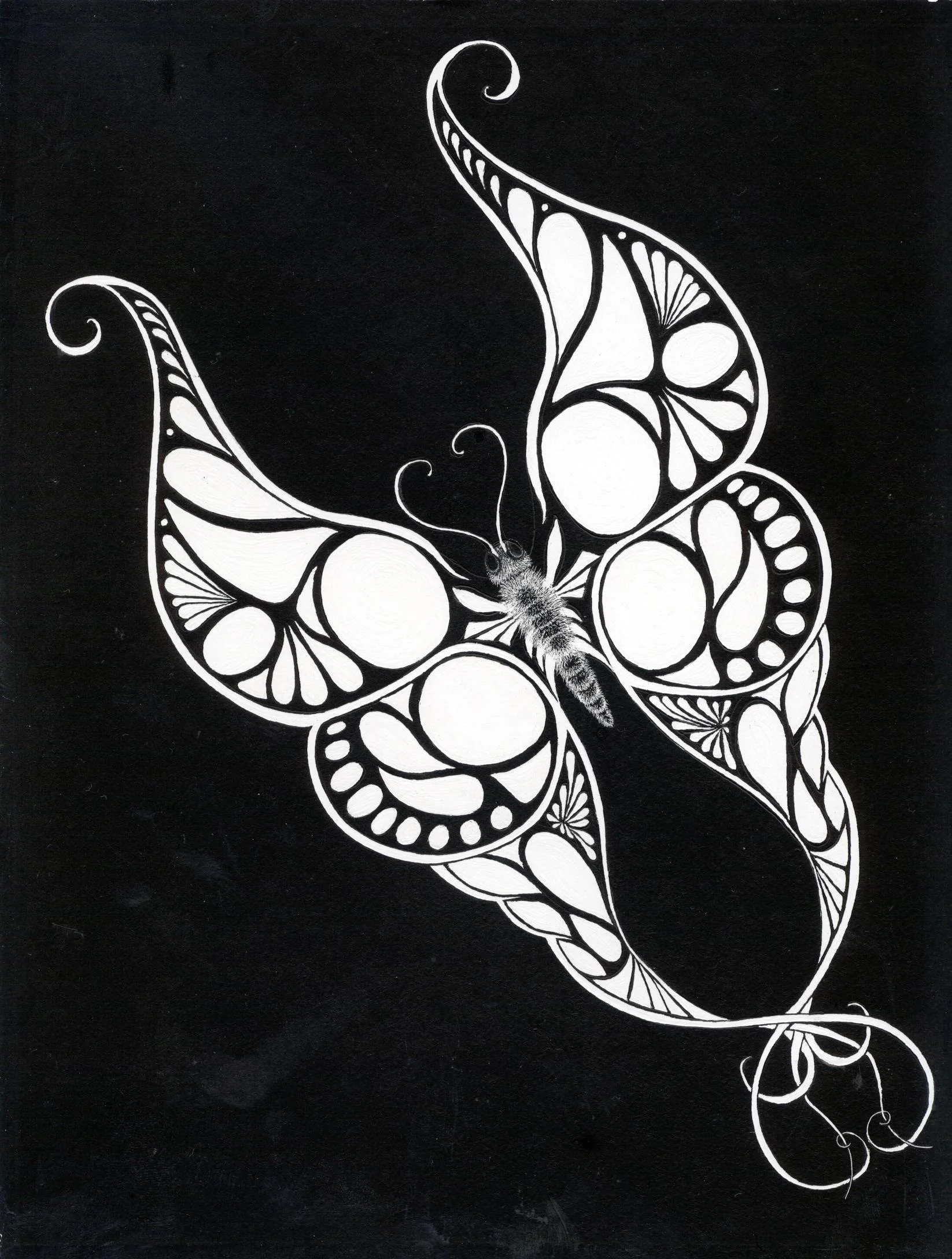 The Moth...