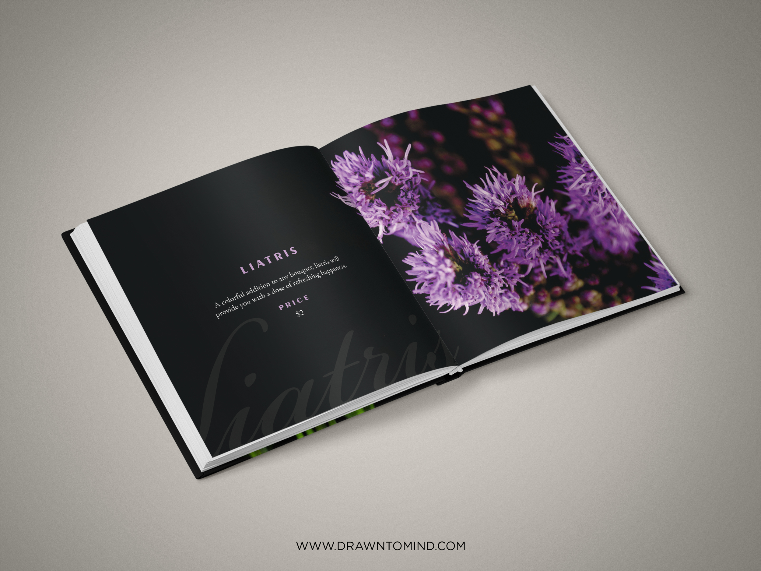 FlowerCatalogueMockup2.jpg