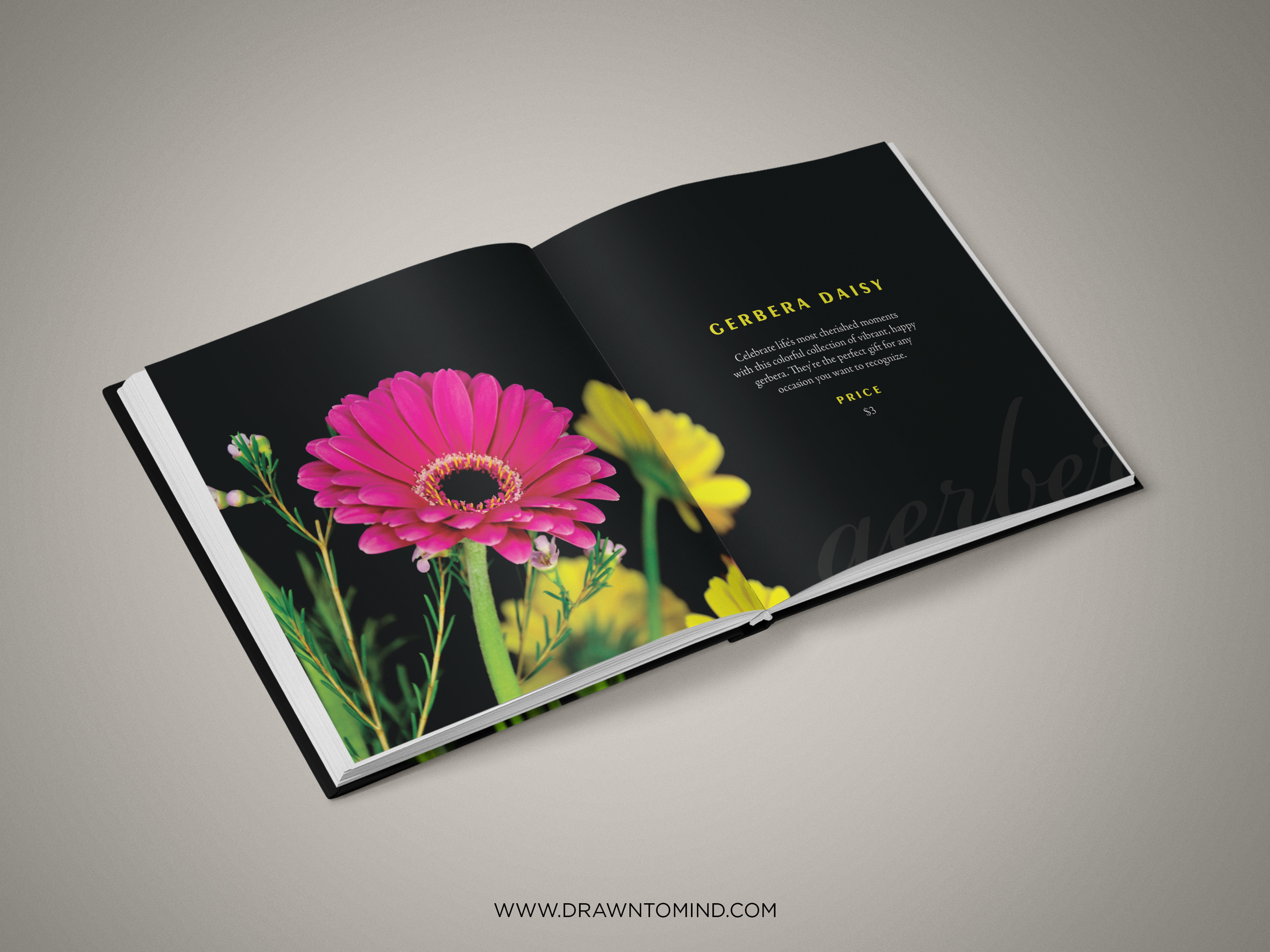 FlowerCatalogueMockup5.jpg