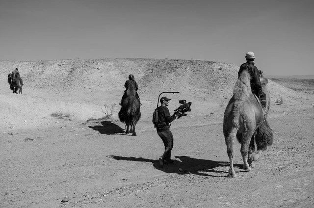 Passion Planet - Wild Camels