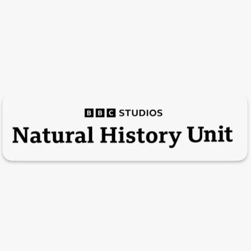 BBC Natural History Program 
