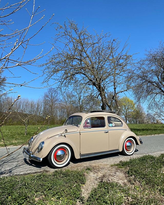 Hallo Karla! 
Karla kann euer Hochzeitsauto werden! Und wer hat schon einen K&auml;fer aus dem Jahr 1957 bei seiner Hochzeit? 
#schneidersphotovan #trudi #t1 #vw #volkswagen #photobooth #harvey #schneidersfamilybusiness #hochzeit2020 #instabraut #ins