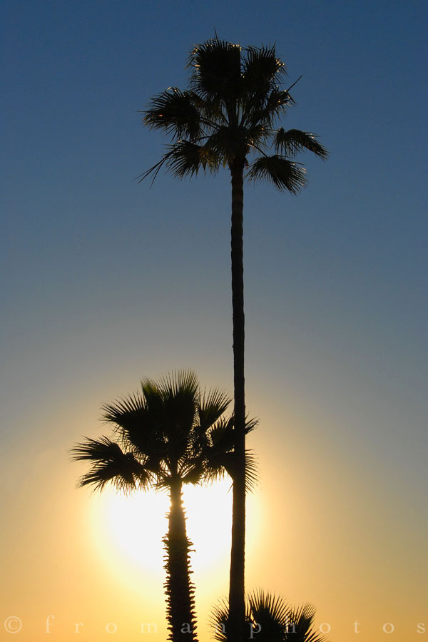 Newport Sunset Resized.jpg