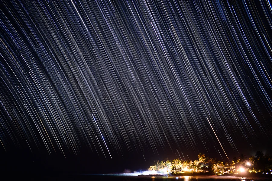 web_nature6.jpg