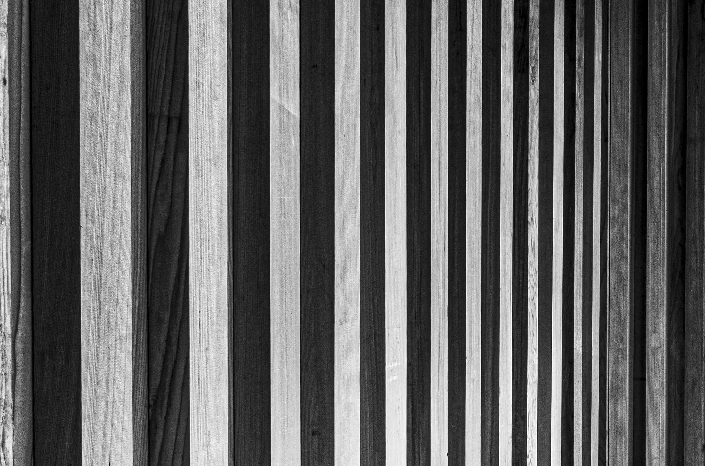 DSCF7290web.jpg