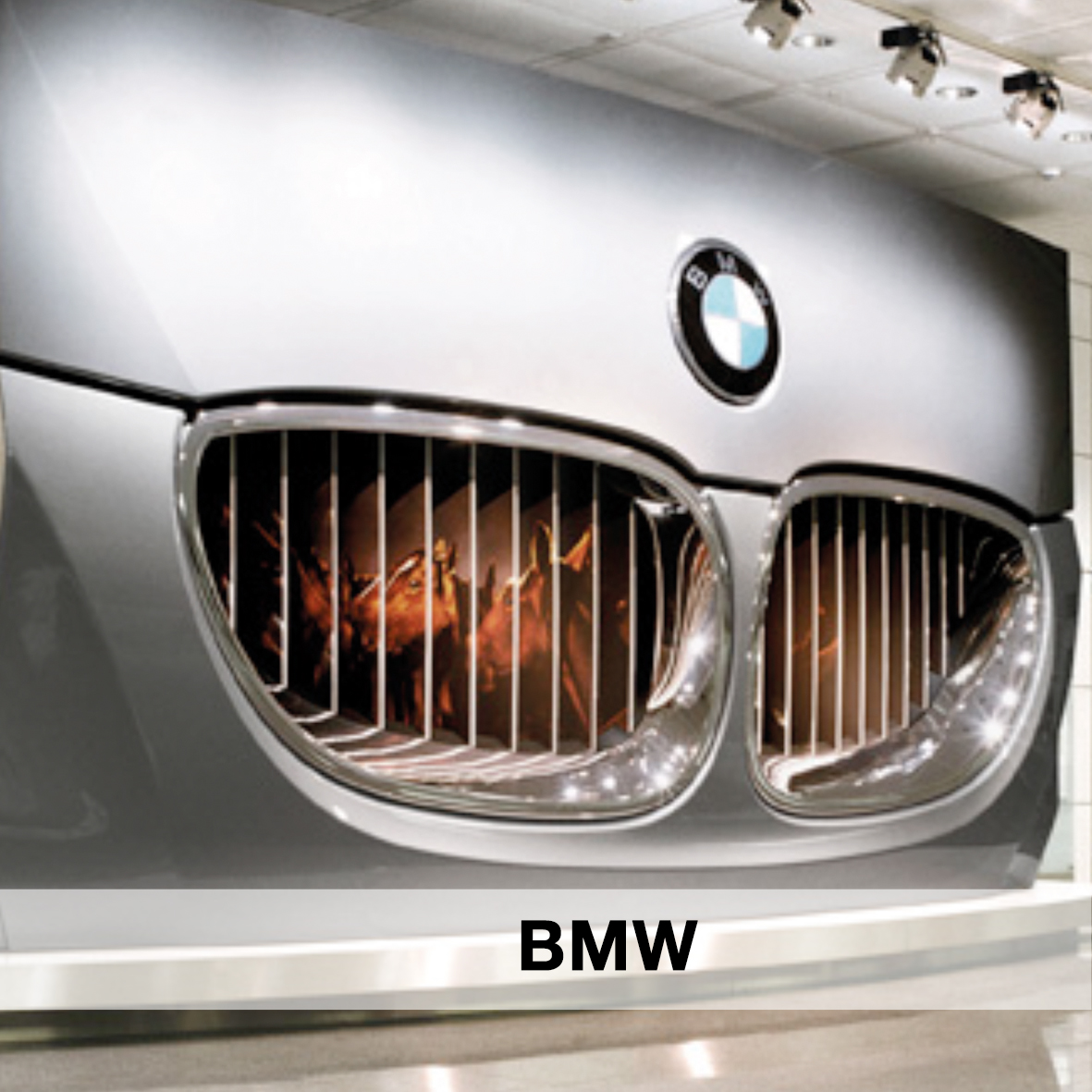 BMW-Thumb.jpg