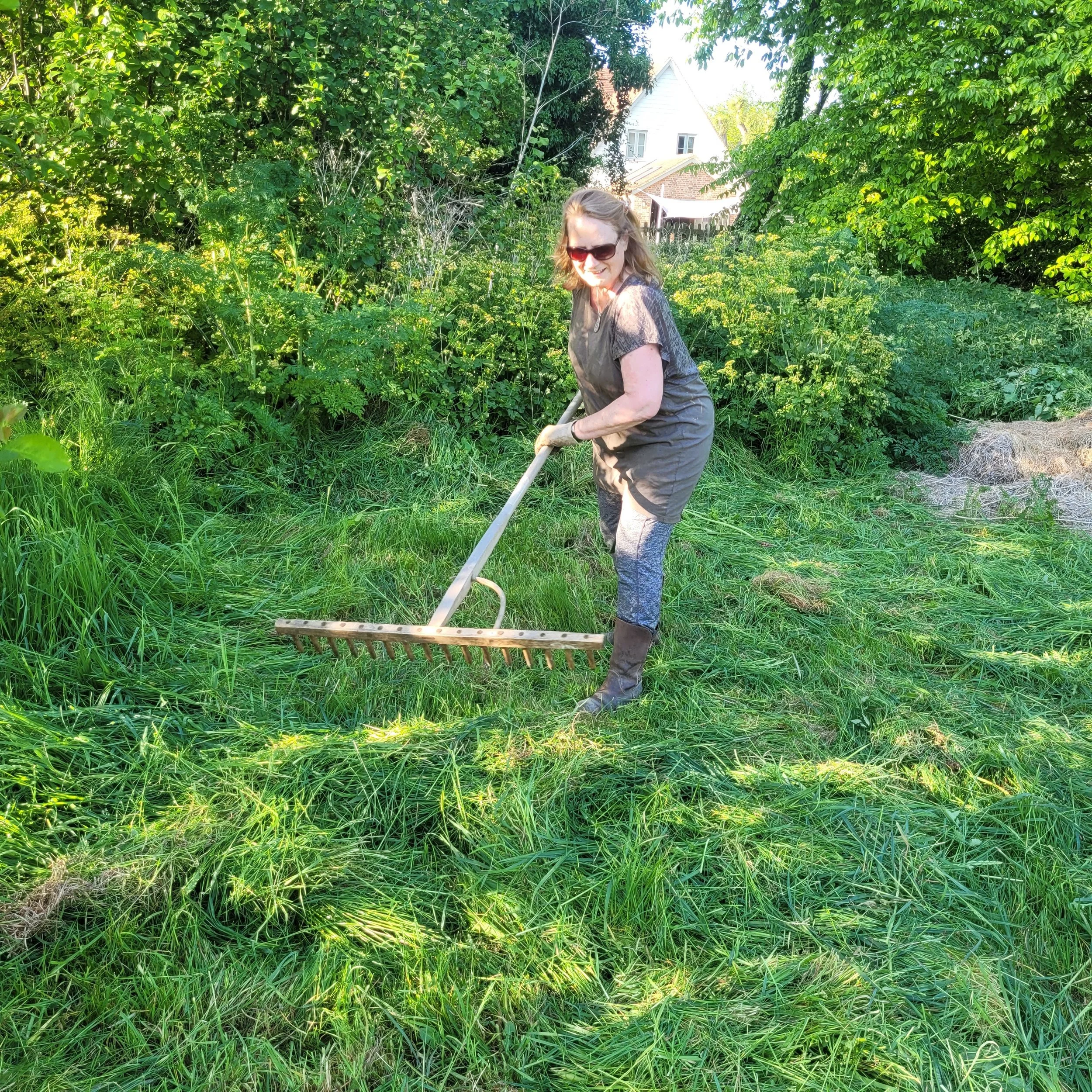 raking.jpg