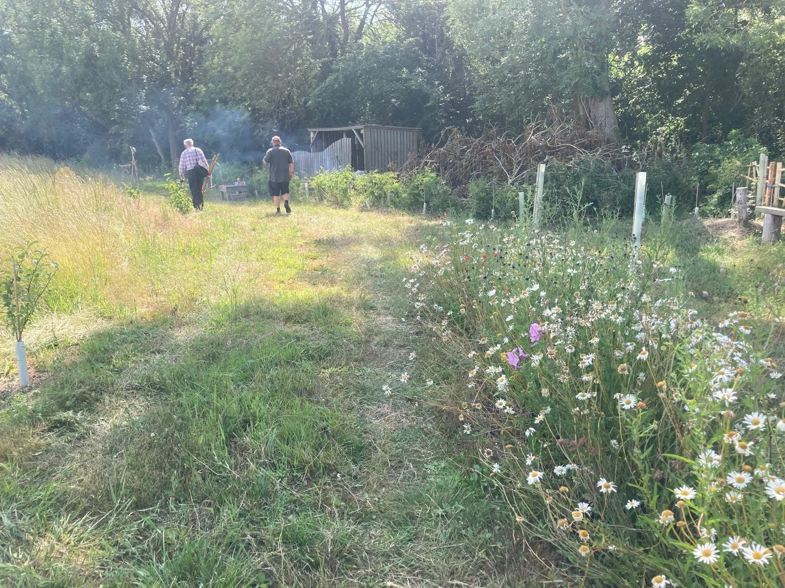kings wood 4.jpg