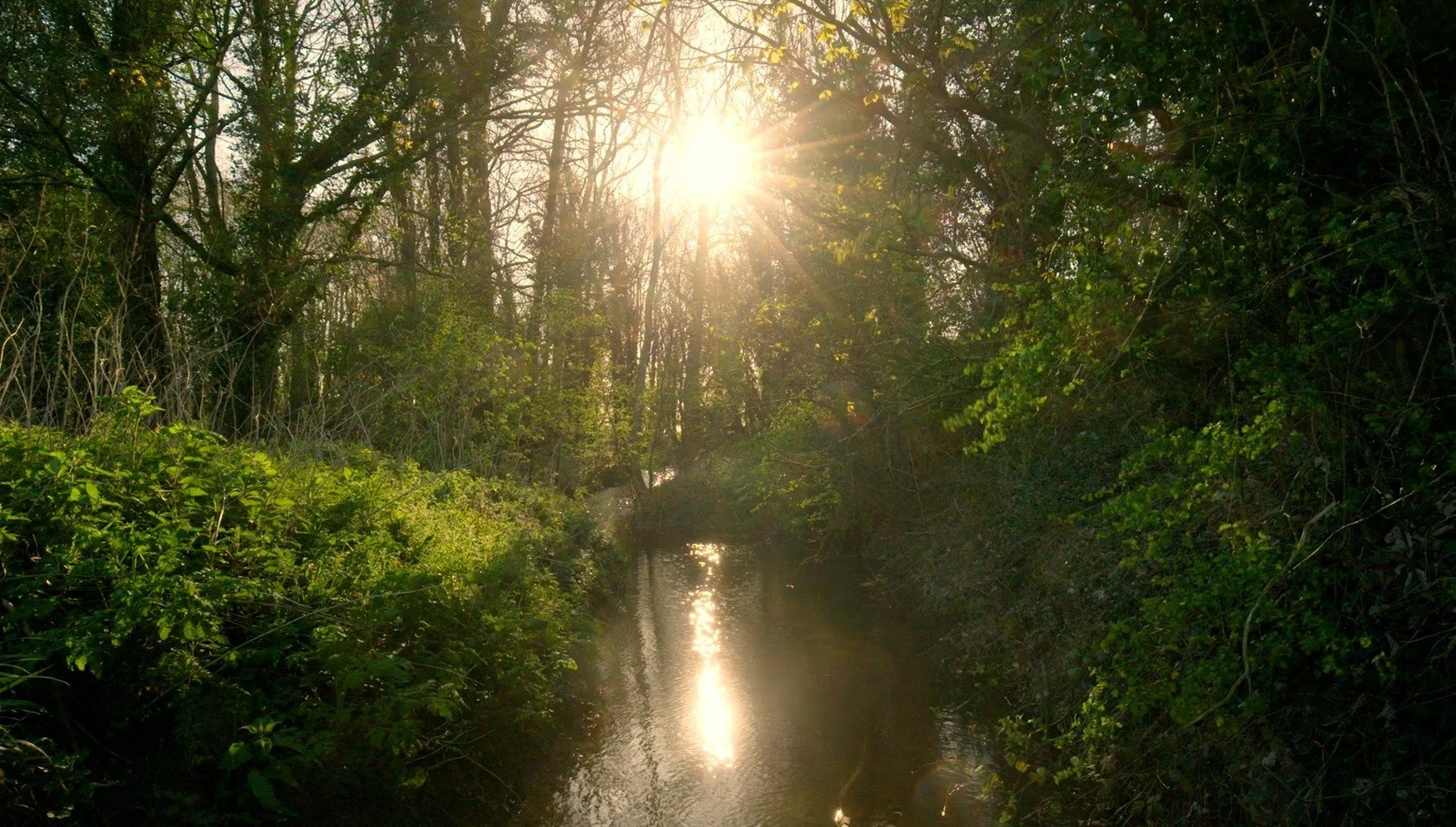 Fugolburna: stream frequented by birds? Film Screening from the Village Society