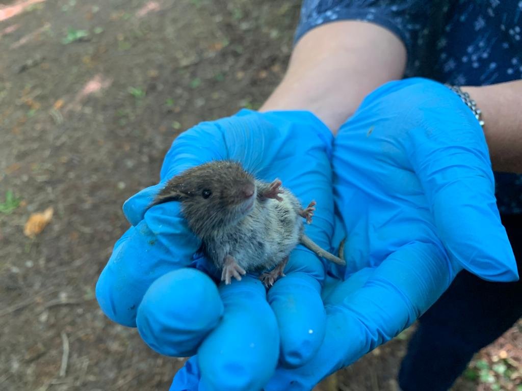 Family Fun Day in Nature