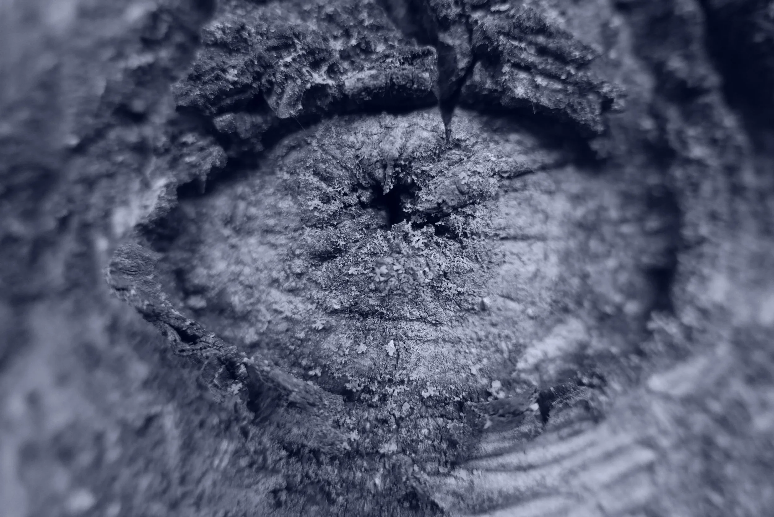 The Visible Catastrophe