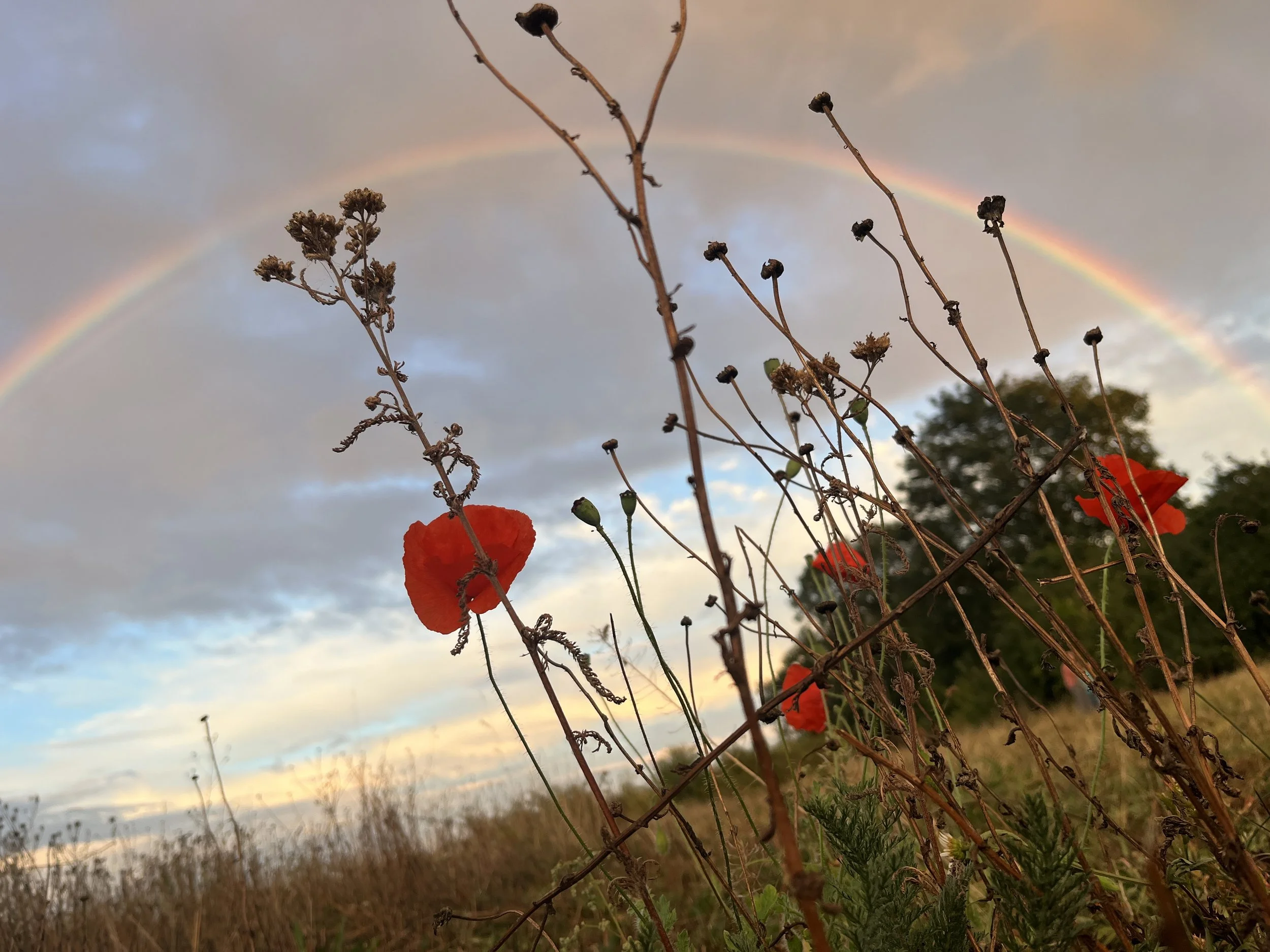 It’s OK to Grieve…