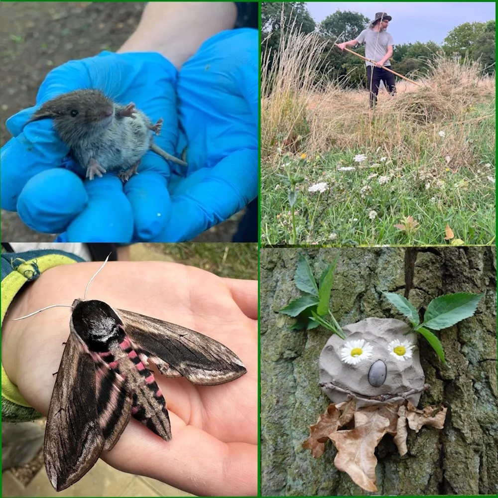 Tiled image of moth, rodent, clay face and scything man