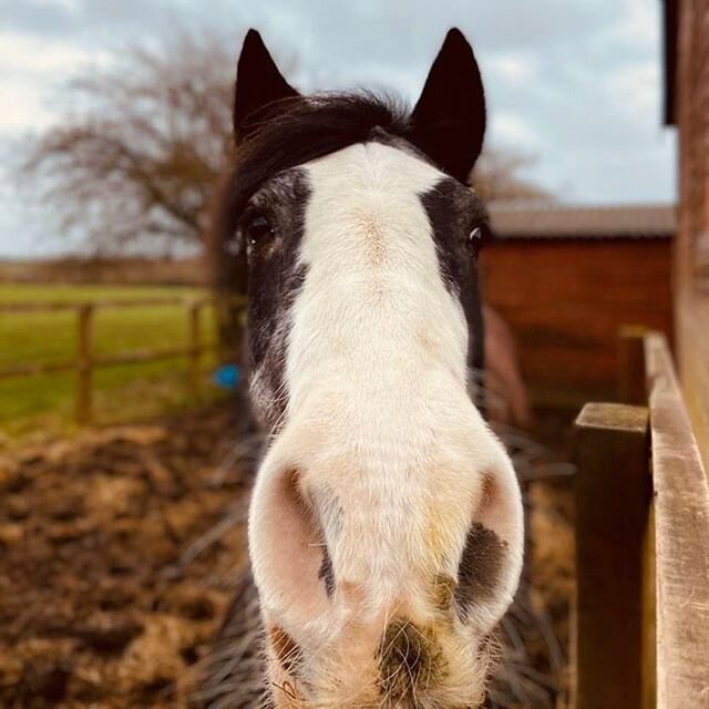 Photos taken by @imarniehocking this half term