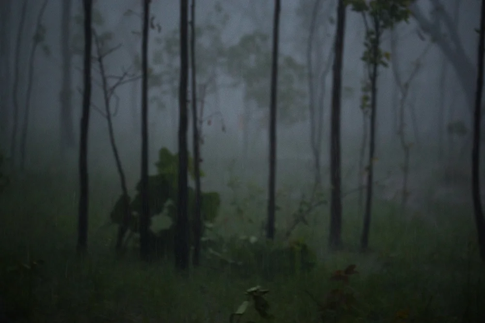 Cyclone.jpg