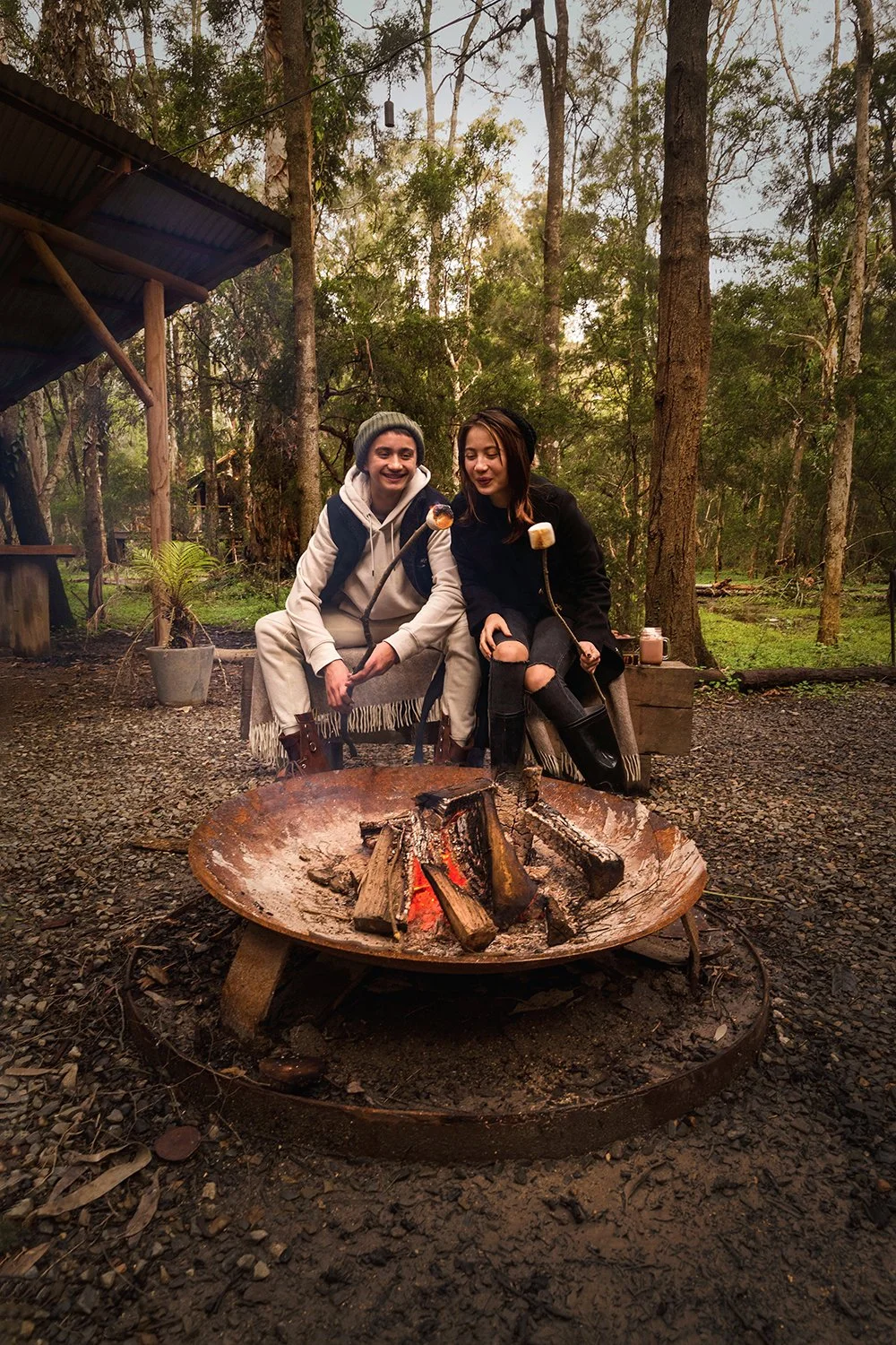 Paperbark_Winter_-5750_.jpg