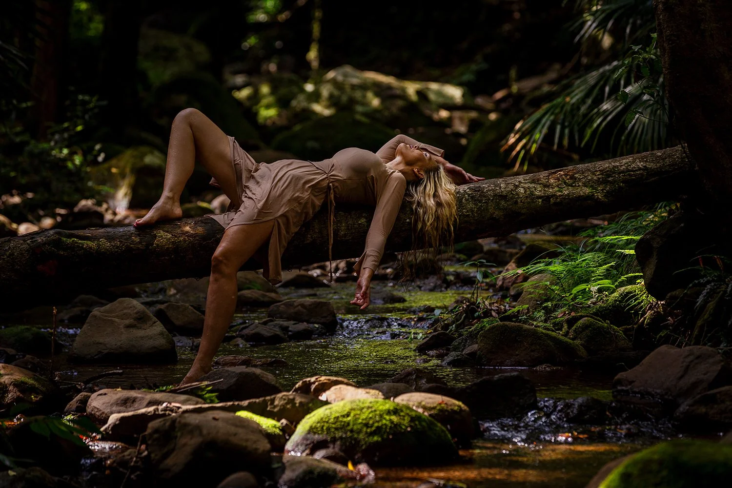 Rainforest_Look2_-1823.jpg