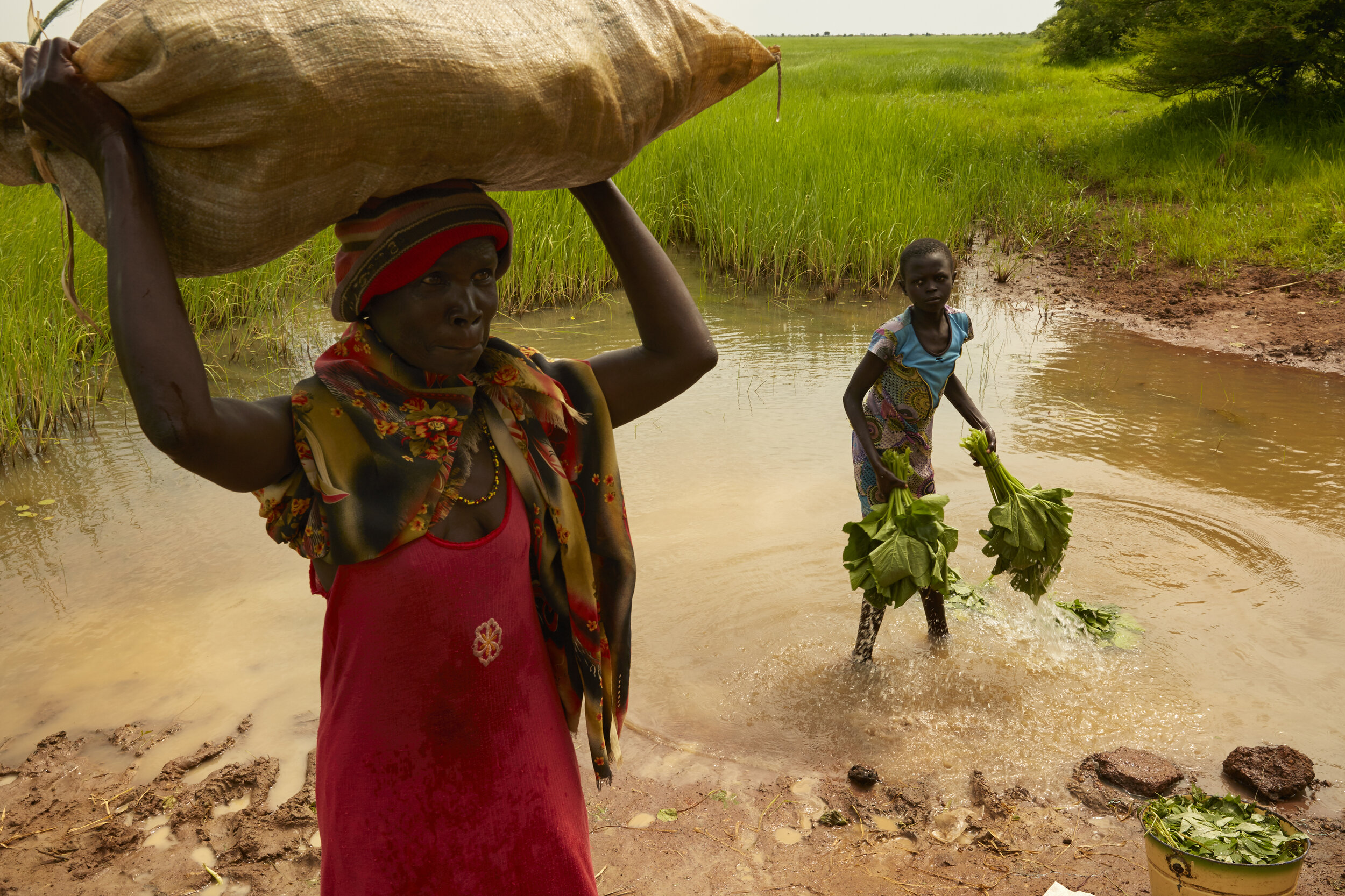 Women wash their produce in a pond in Aweil, South Sudan