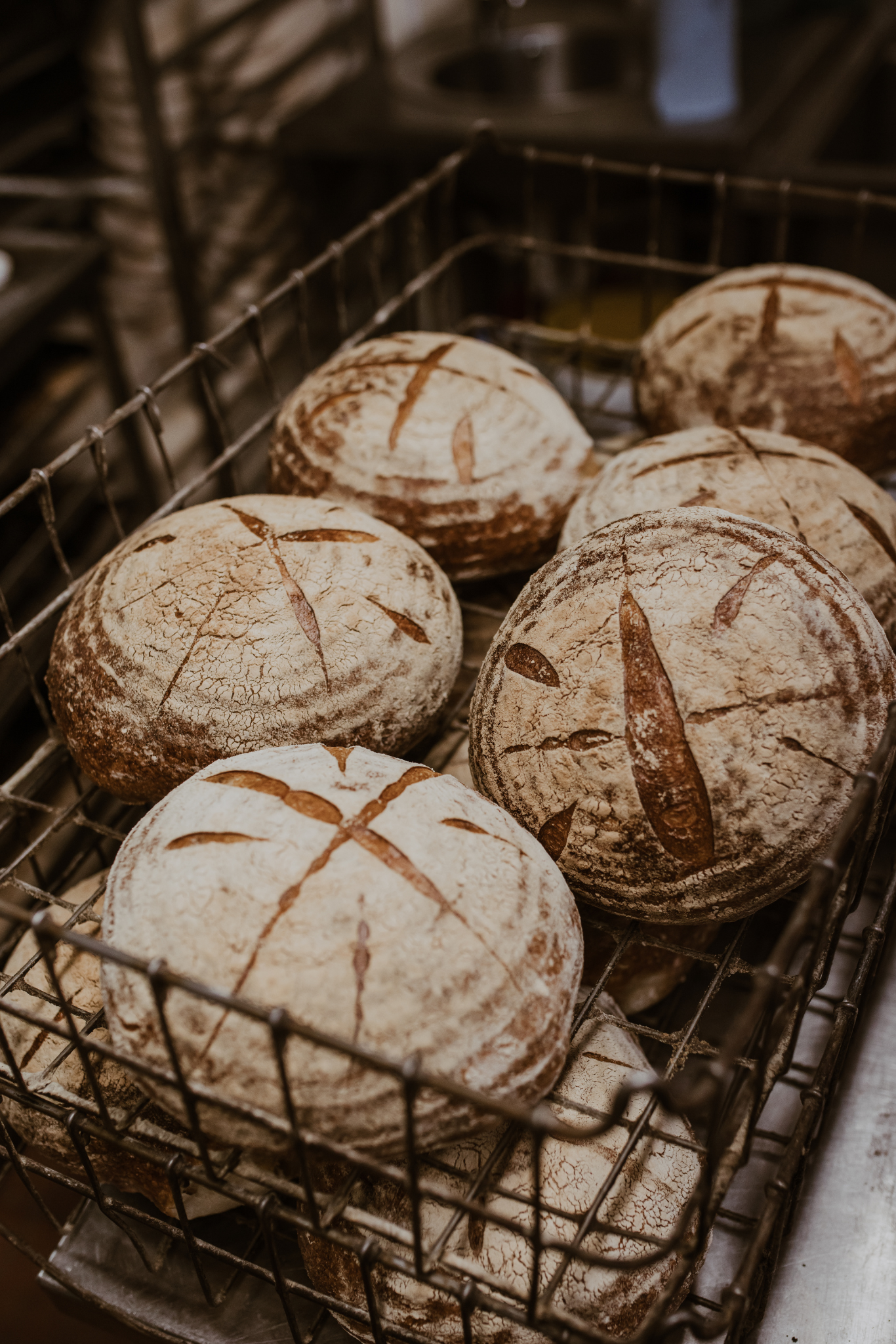 Untitled design (6).png