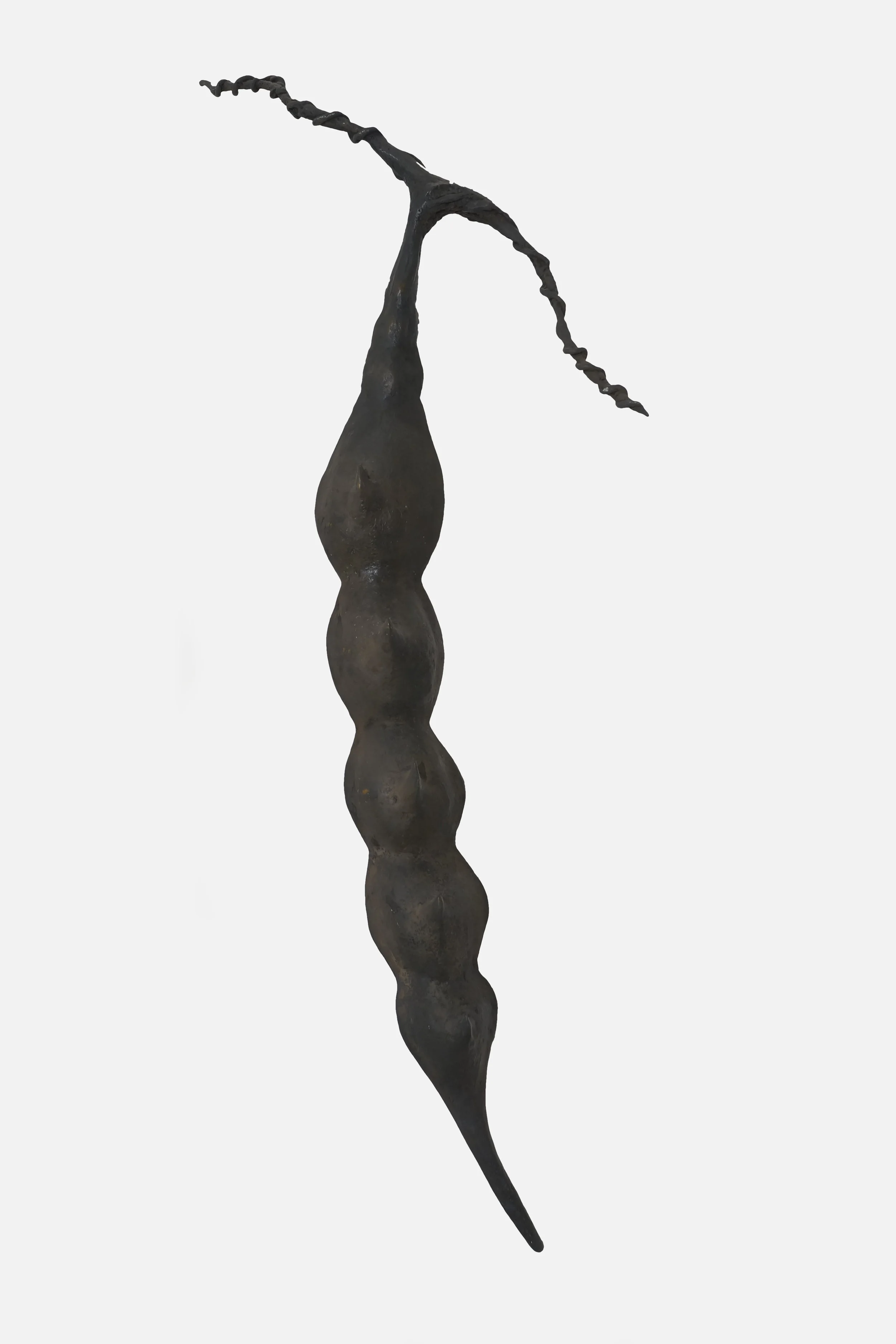Large Bronze Branch w: Seedpod.jpg