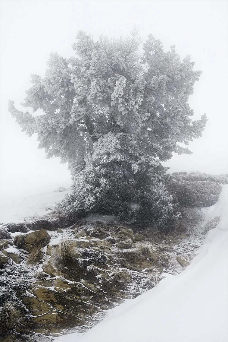 © Eric Bourret - Walk - Landscape 3 - dans la gueule de l'espace - France Oisans 2016 - ref 189.jpg