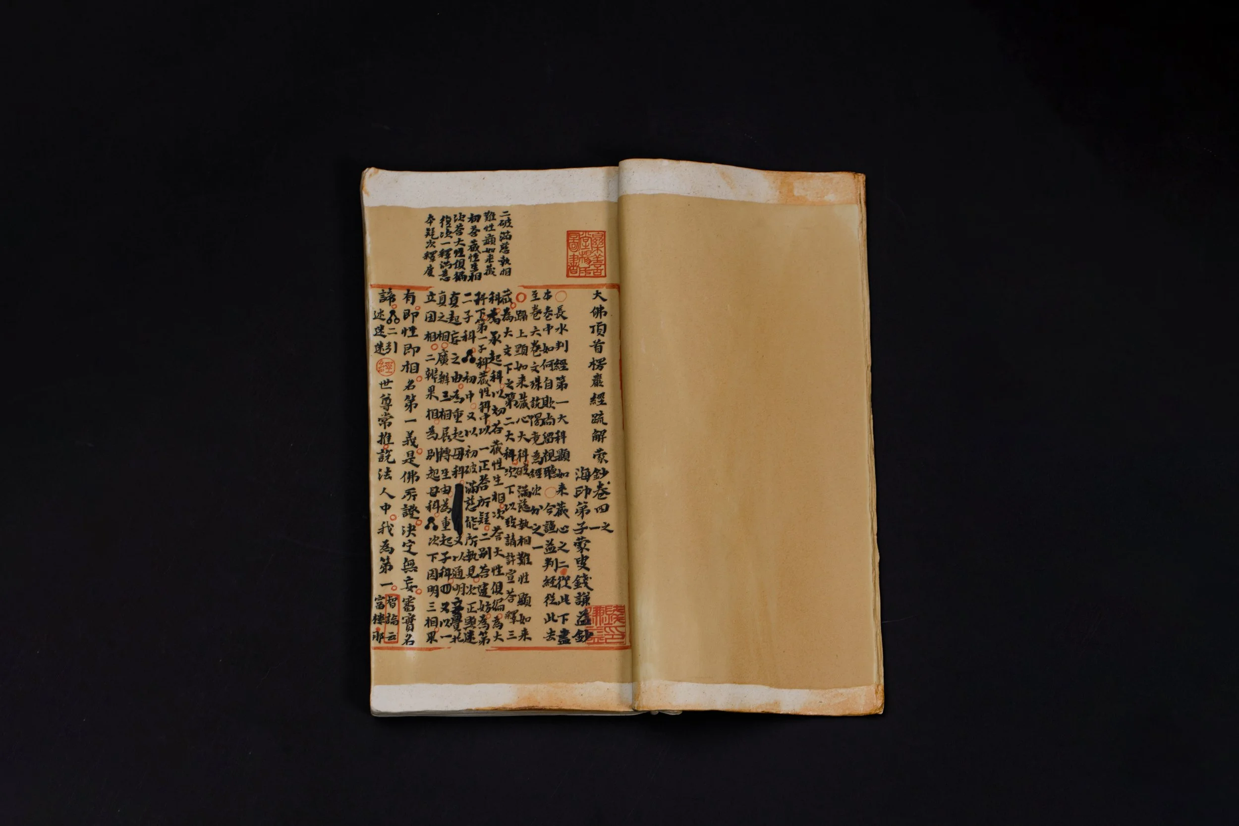 XX Sutra Forbodden books series.jpg