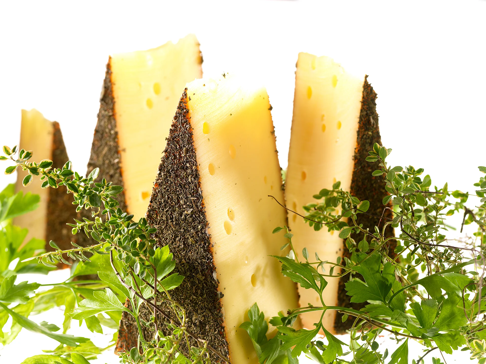 Fotowerk Lampelmayer - Foodfotografie - Käse