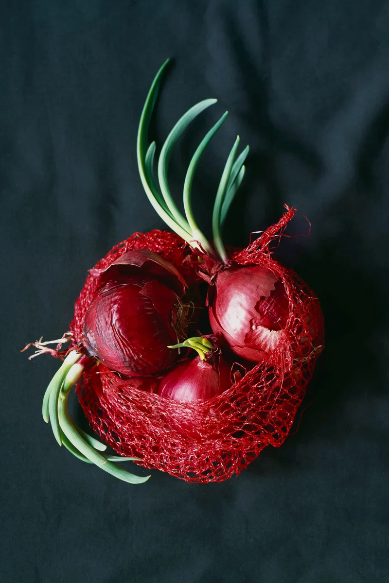 Fotowerk Lampelmayer - Foodfotografie - Zwiebeln