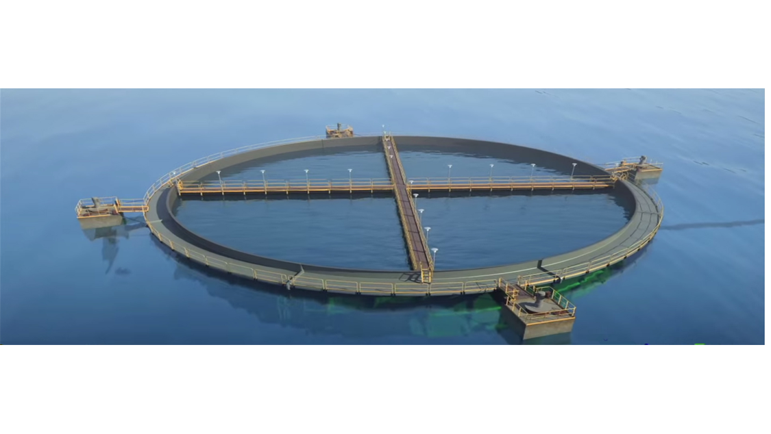 Fish-Farming.png