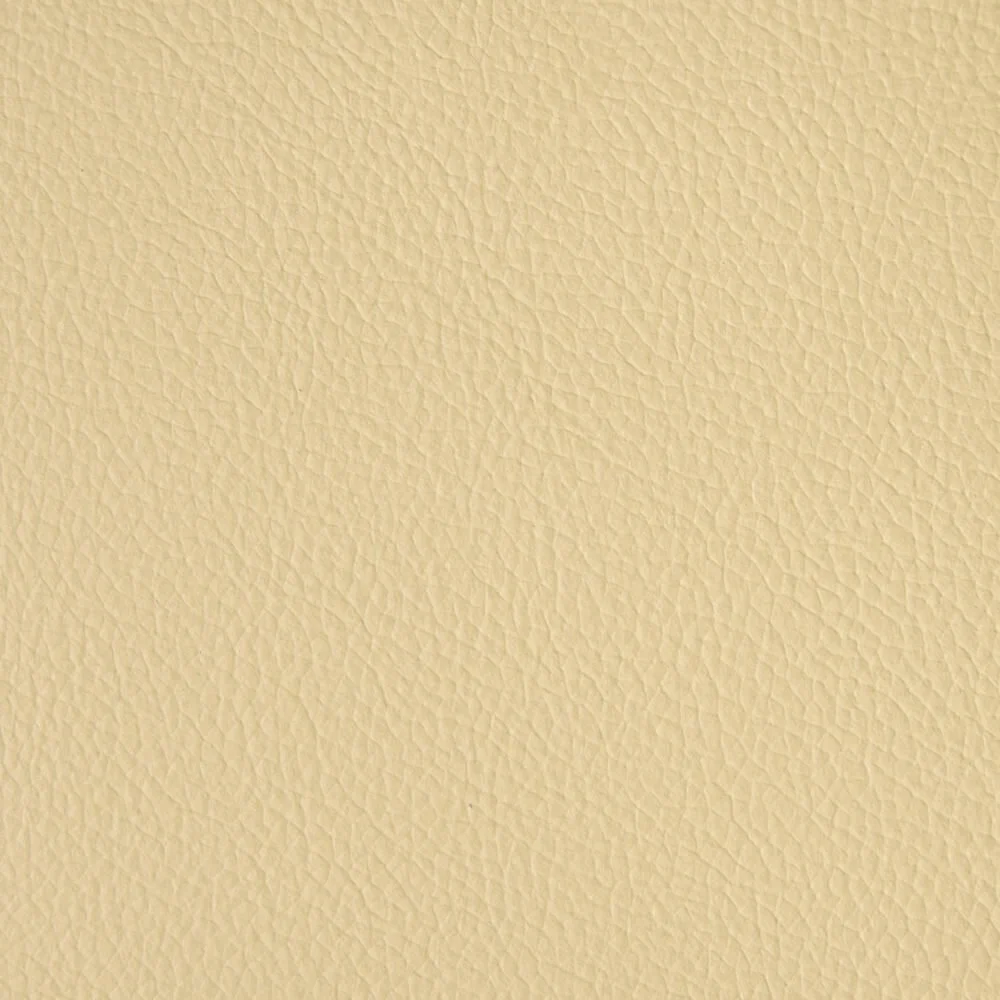 12_P1509_CAMMELLO.jpg