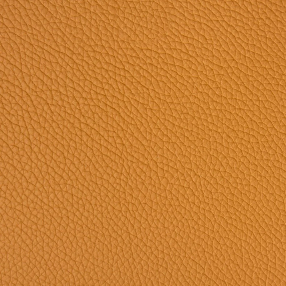 16_P1516_SAFARI.jpg